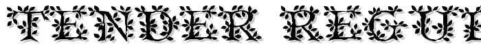 Tender Regular font